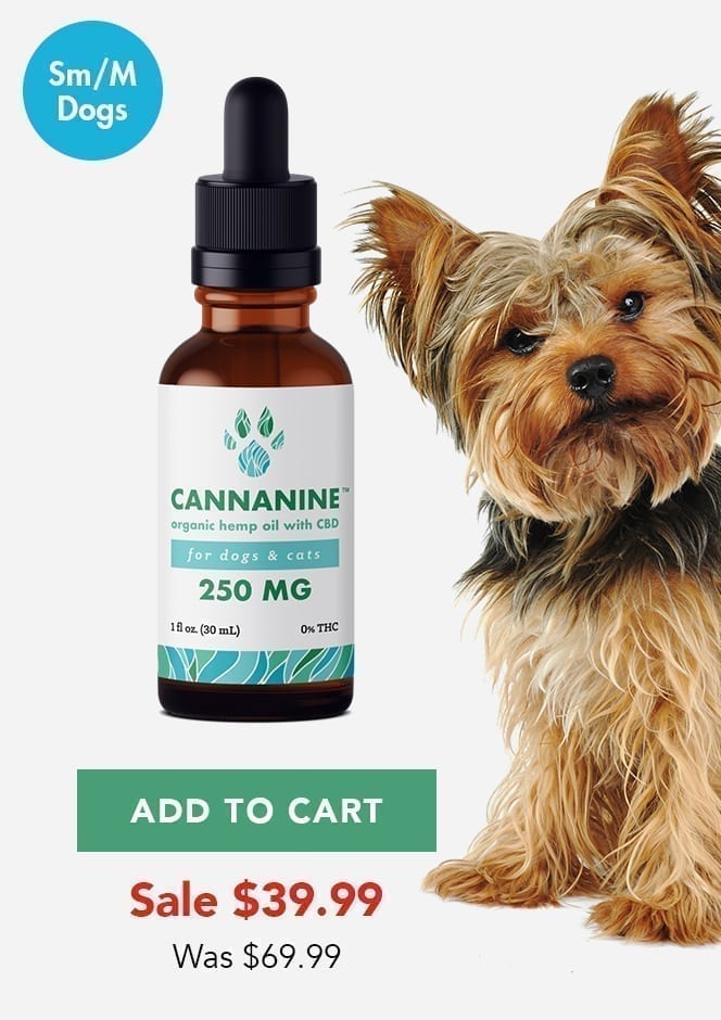 250mg Cannanine Ultra Premium Full Spectrum CBD Hemp Oil